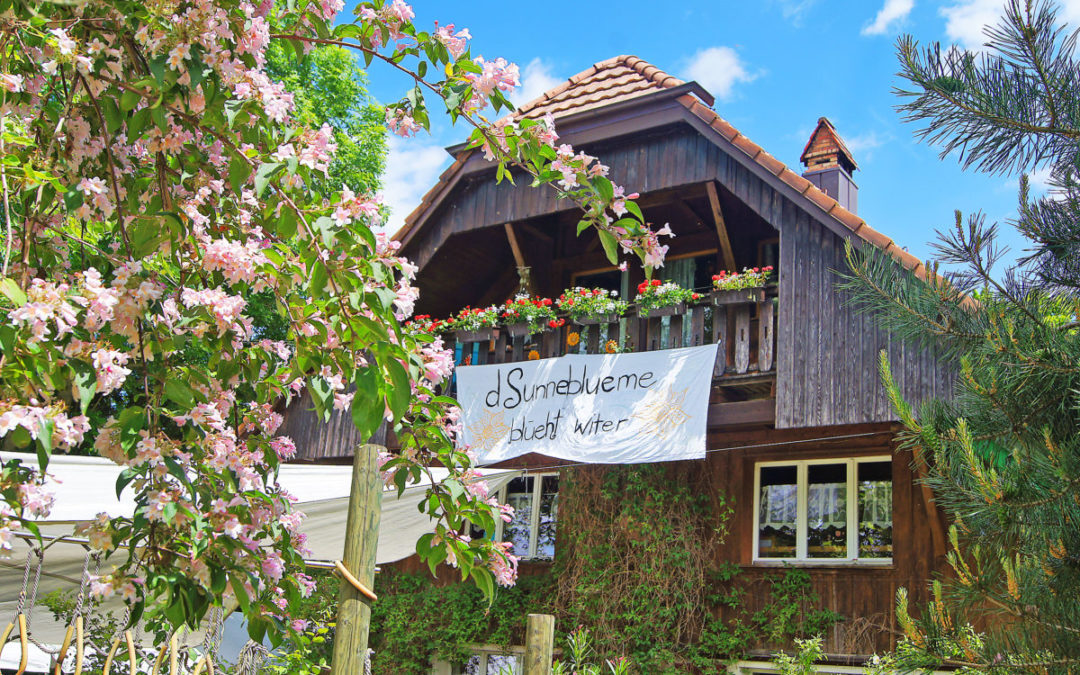 Feierliche Stimmung am Sunneblueme-Fest