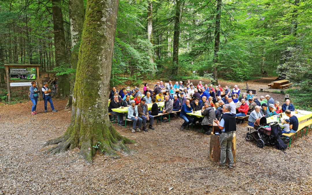 Ein Waldparcours zum 40. Geburtstag