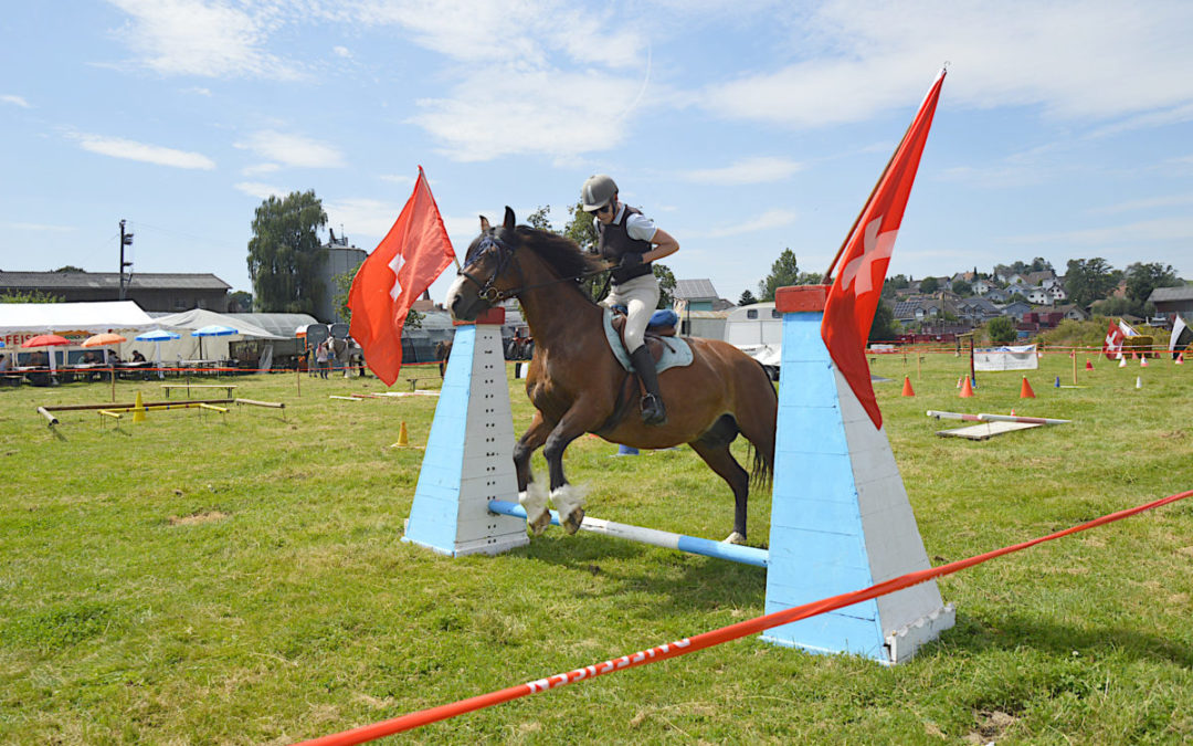 25. Pferdesporttage in Gurmels