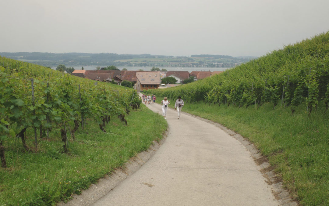 Ein Spaziergang für die Sinne