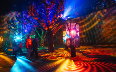 «Die Murtner sind stolz auf ihr Lichtfestival»