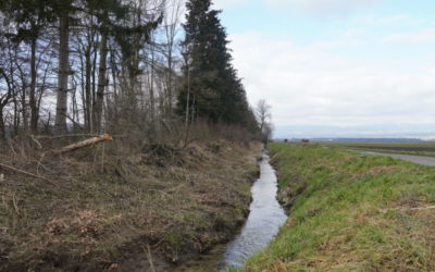 Ein neuer Anlauf mit viel Überzeugungsarbeit