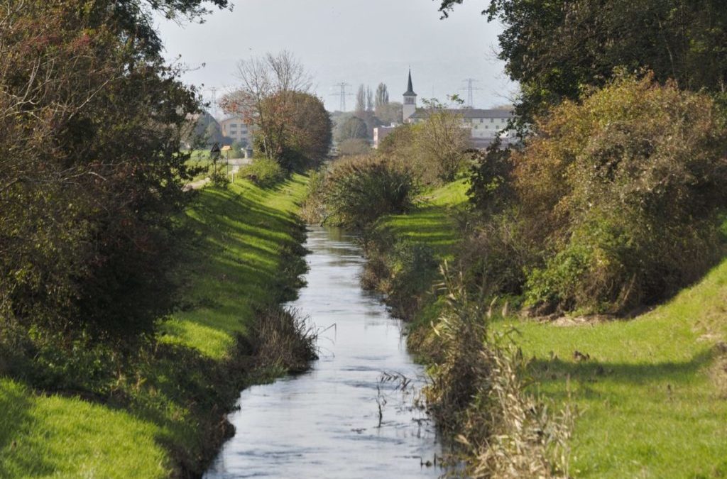 Vully will kein Land für Hochwasserschutz geben