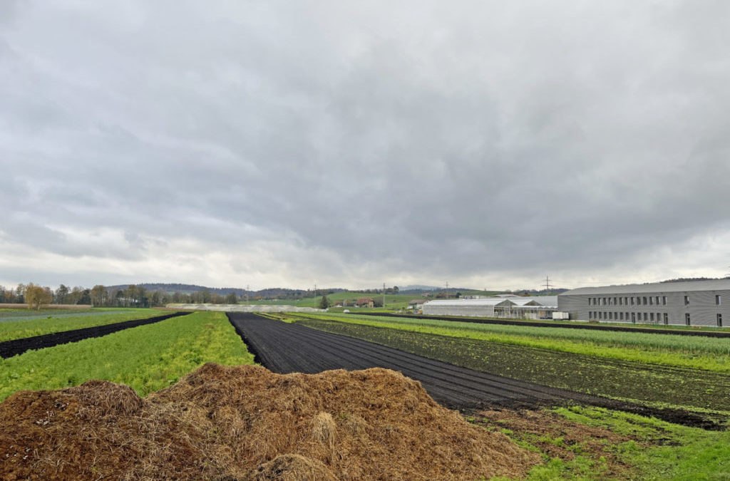 Neuer Horizont für die Umfahrungsstrasse Kerzers