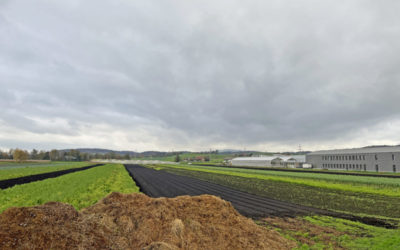 Neuer Horizont für die Umfahrungsstrasse Kerzers