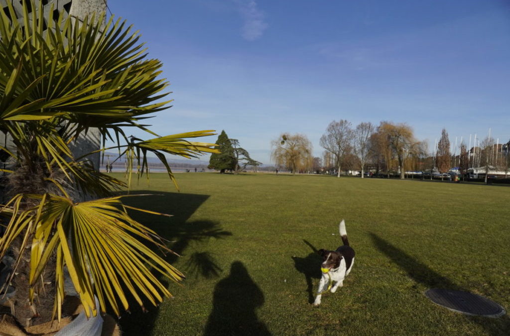 Bestimmt der schönste Schwingplatz der Schweiz
