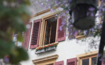 Niemand will aus dem Murtner Gemeinderat zurücktreten