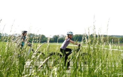 Strategie für den Tourismus Region Murtensee liegt vor
