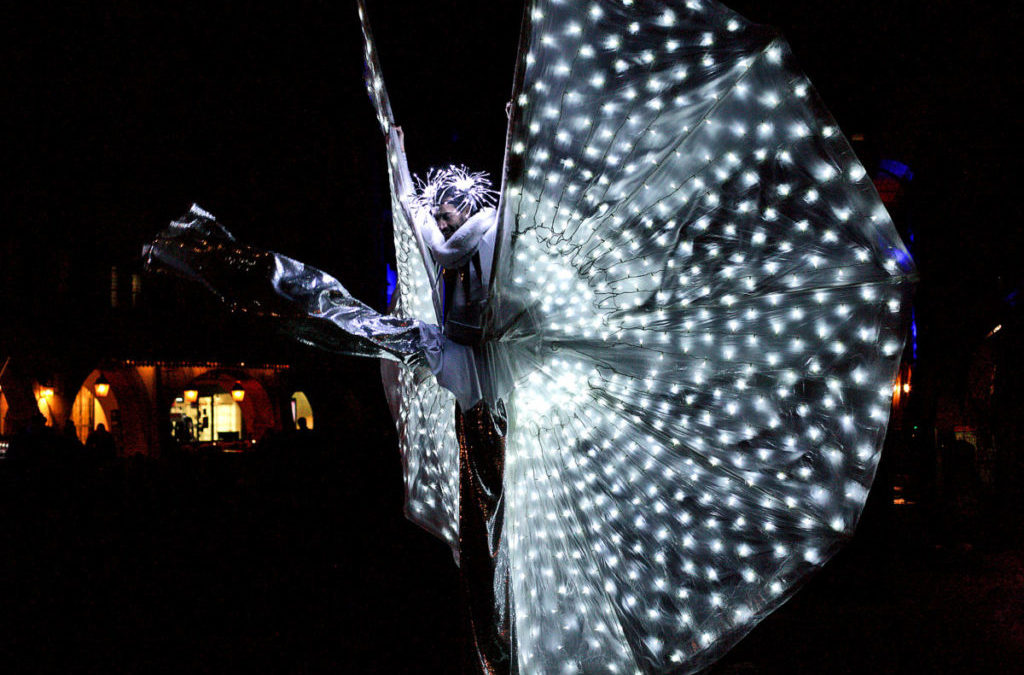 Erhaben tanzende Schmetterlinge