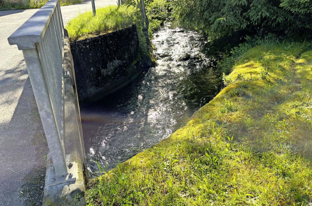 Aussicht auf Geld für Hochwasserschutz