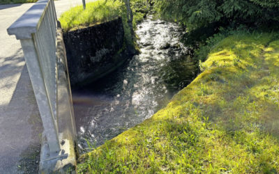 Aussicht auf Geld für Hochwasserschutz