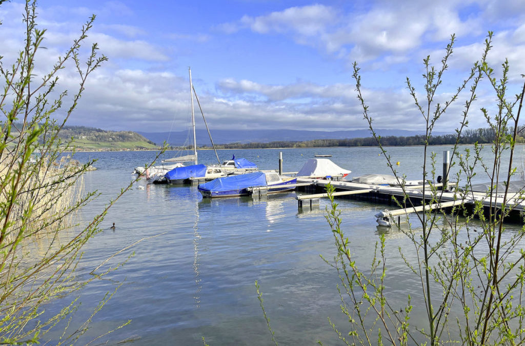 Schiff ahoi auf dem Murtensee