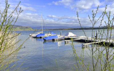Schiff ahoi auf dem Murtensee
