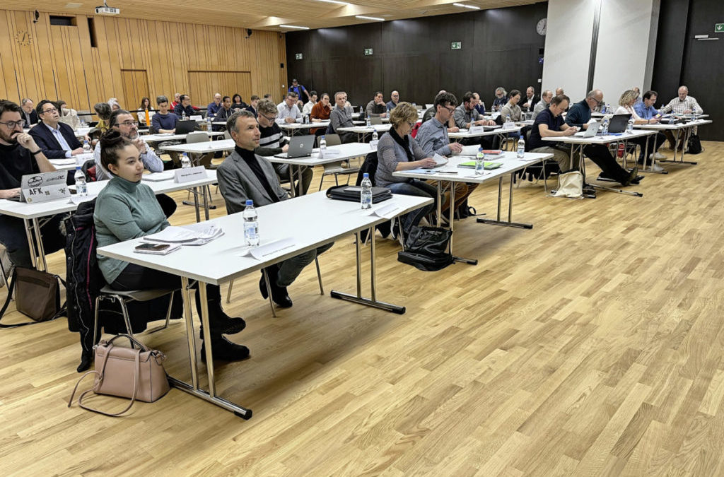 Murtens Bremsmanöver bei Tempo 30