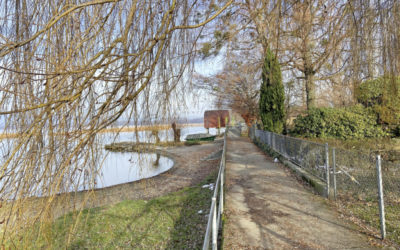 Zwei Varianten für neue Uferpromenade