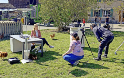 Homeoffice inmitten von Hoftieren 