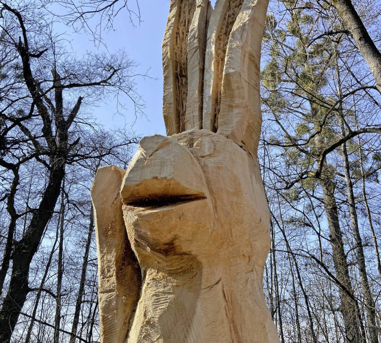 Die Hasenfamilie ist nun komplett