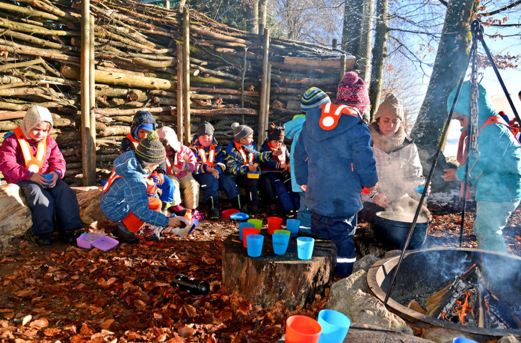 Auf dem Waldsofa die Natur entdecken