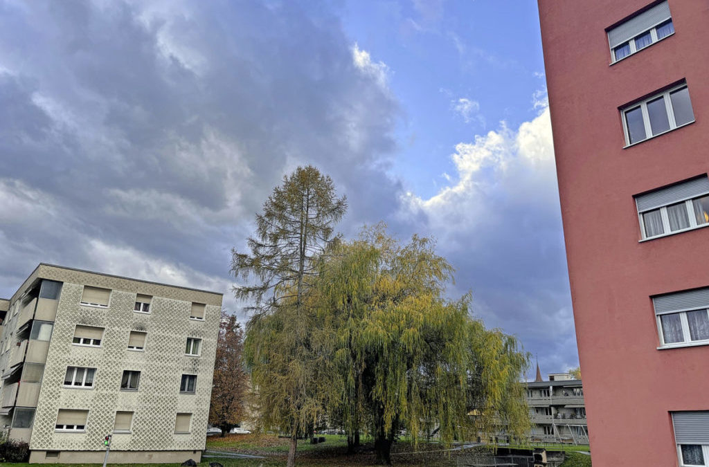 Murten kämpft um verdichtetes Bauen 