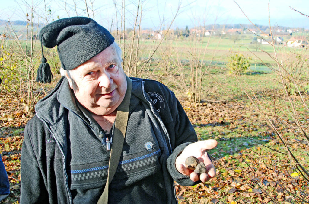 «Dieses Jahr verspricht eine gute Trüffelernte»