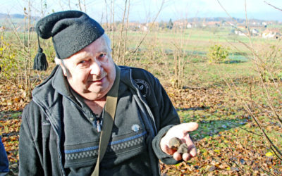 «Dieses Jahr verspricht eine gute Trüffelernte»