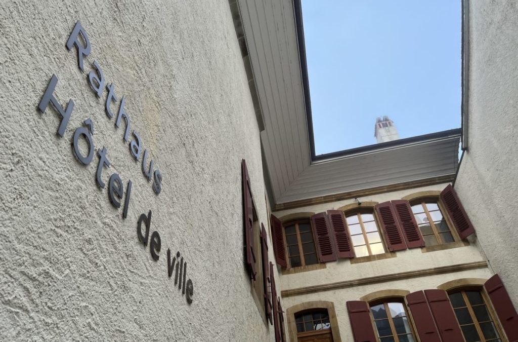 Die Gemeinderatskandidaten im Quervergleich