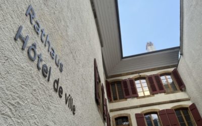 Die Gemeinderatskandidaten im Quervergleich