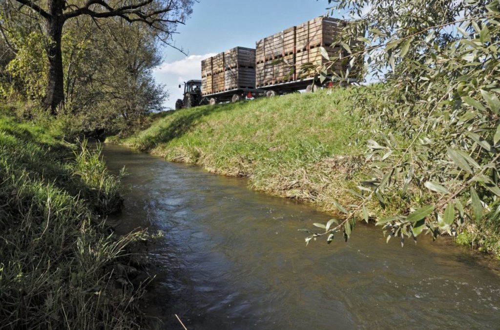 Neuer Anlauf zu Landumlegungim Grossen Moos