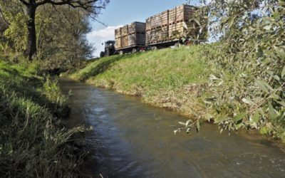 Neuer Anlauf zu Landumlegungim Grossen Moos