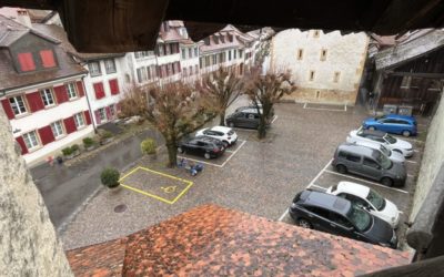 Aus dem Innenleben der Murtenschlacht