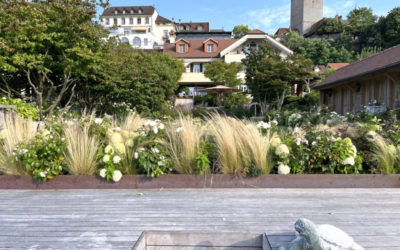 Bädli-Garten begeistert die Fachwelt