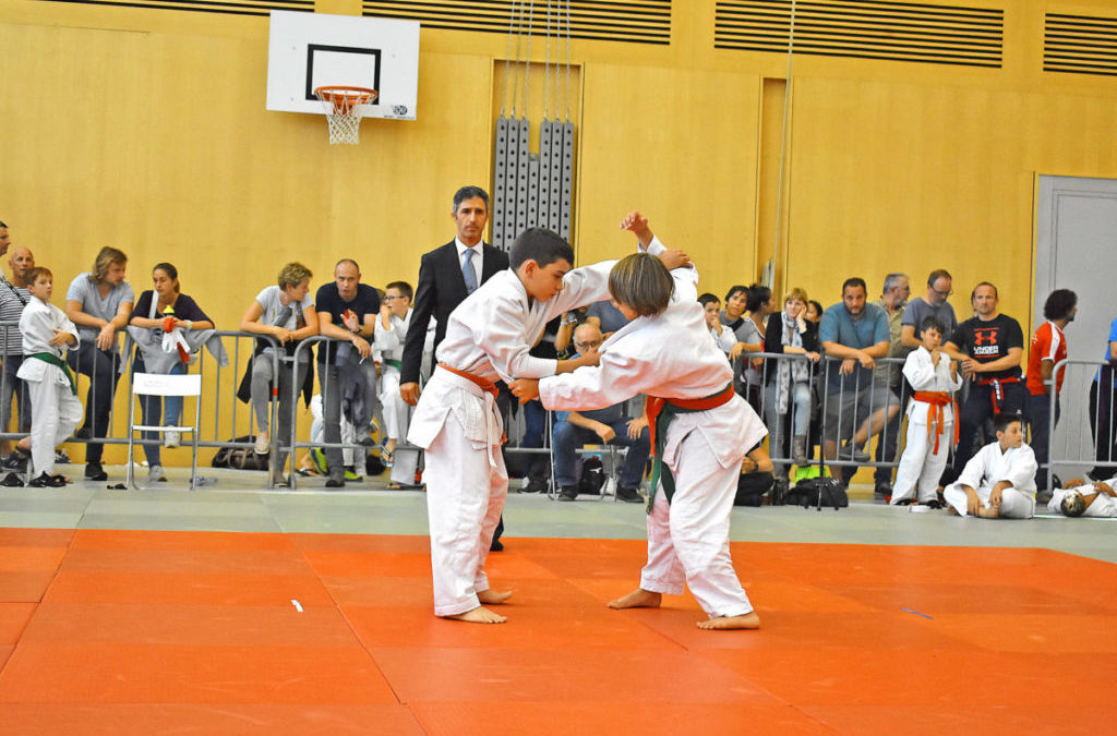 Über tausend Judokas kämpften in Murten