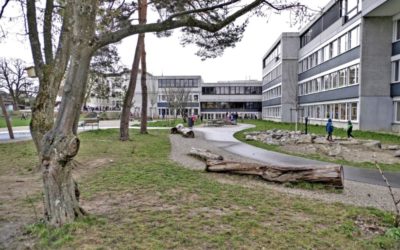 Wenn es zwischen Eltern und der Schule knirscht