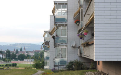 Sommerserie: Ein Streifzug durch die Murtner Quartiere