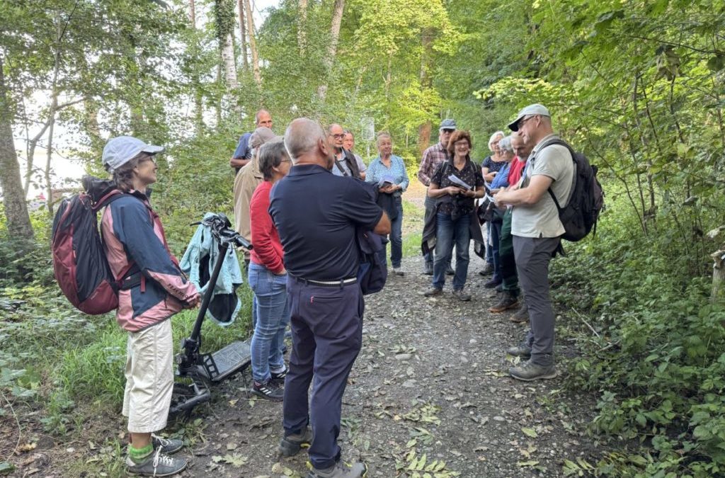 Die seltenen Ulmen des Grengspitz
